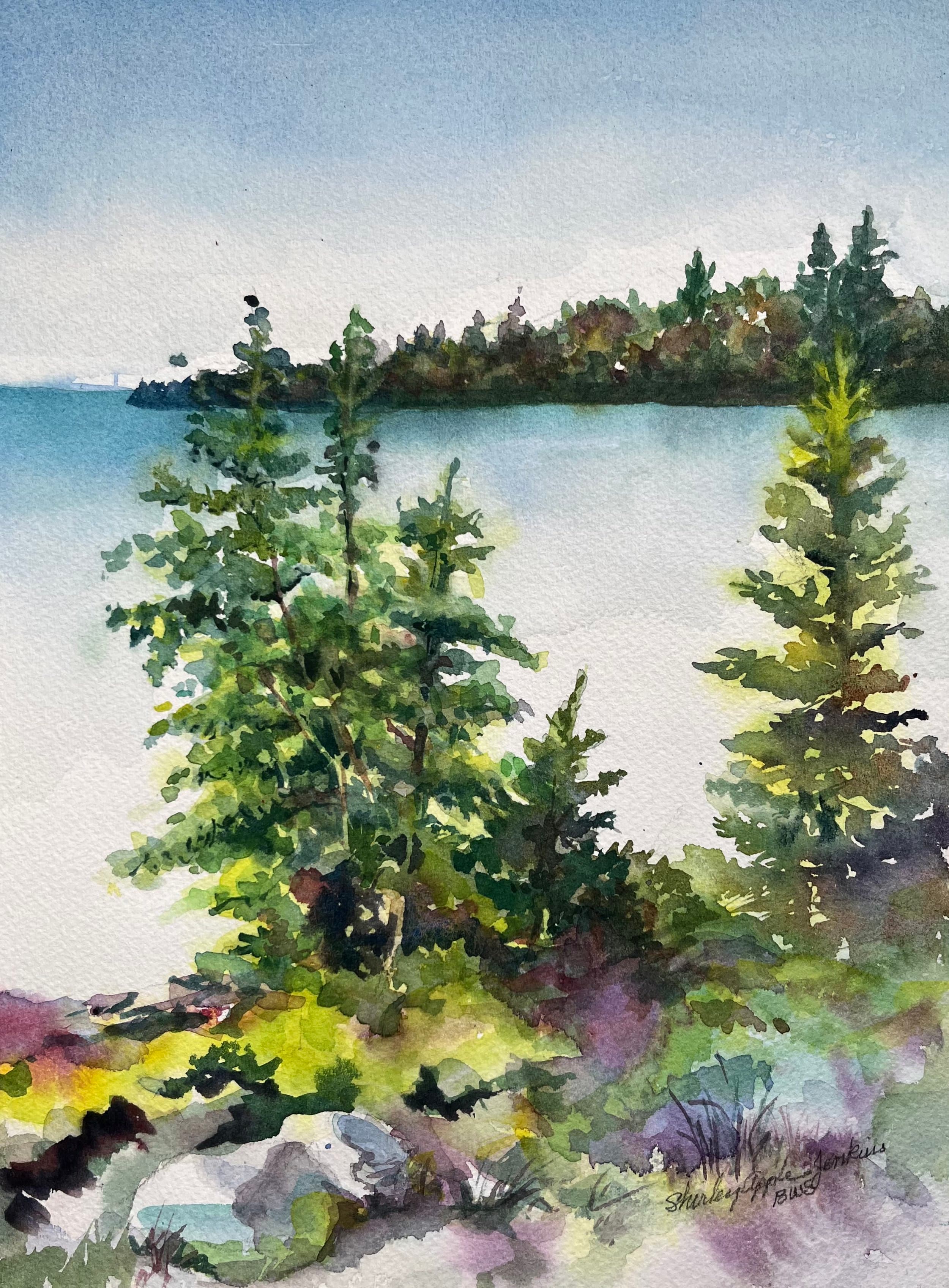 Artwork by Shirley A Jenkins