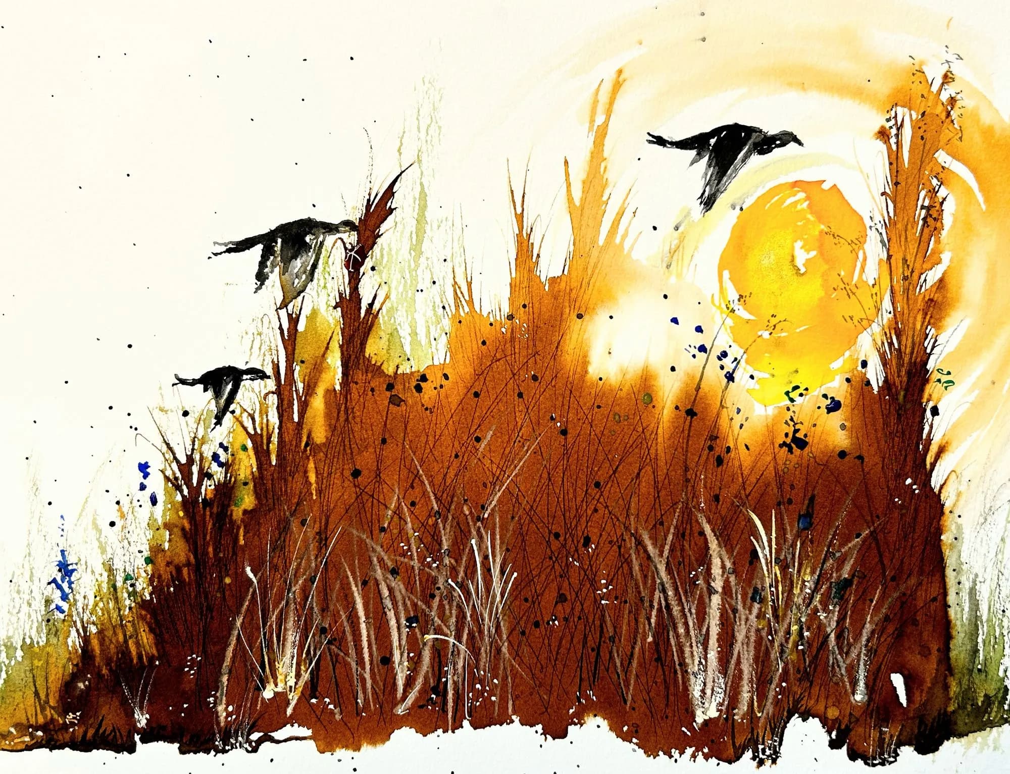 Sunset in the Reeds