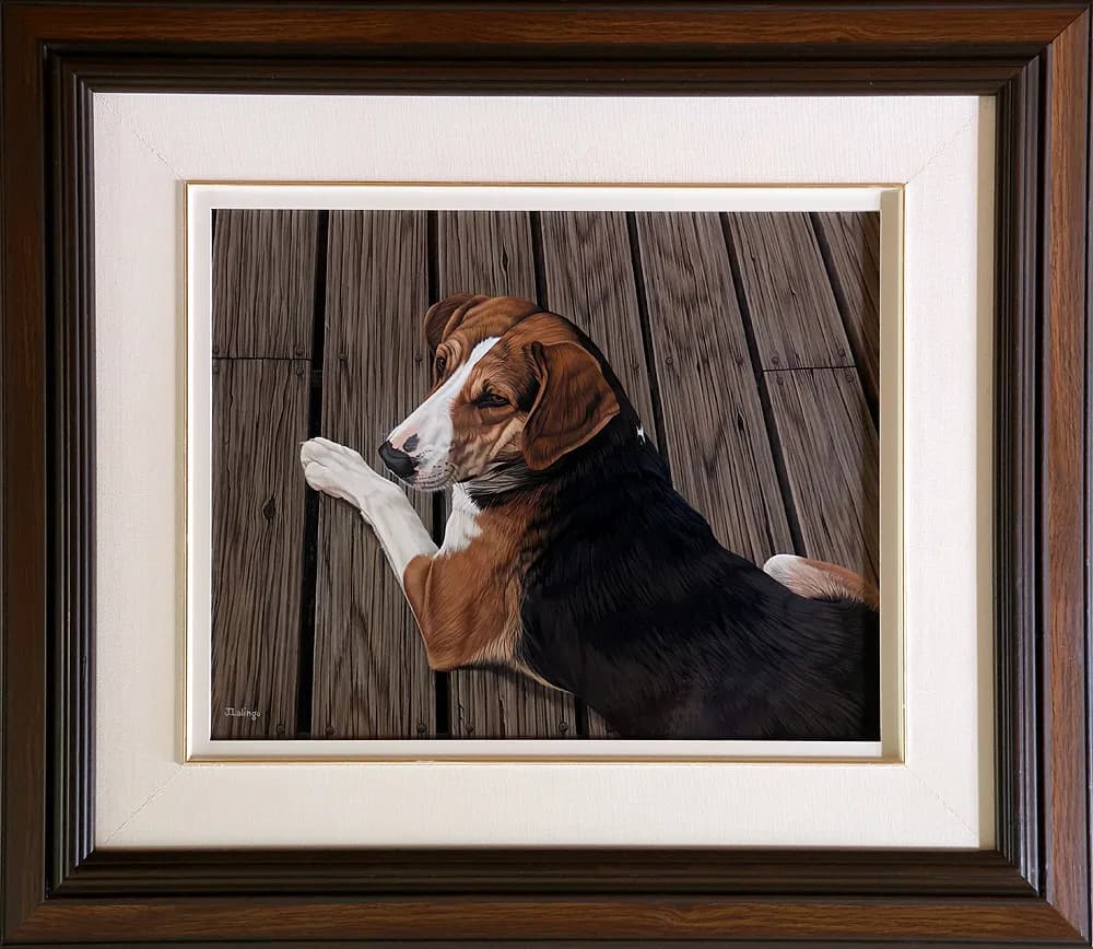 Hound on Porch