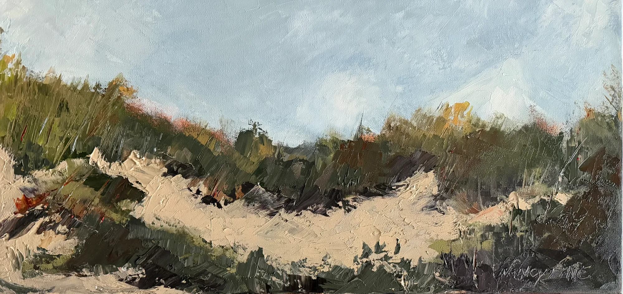 Wind Blown Sand